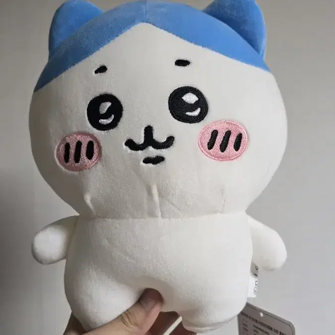 하치와레 25cm 인형 양도해요