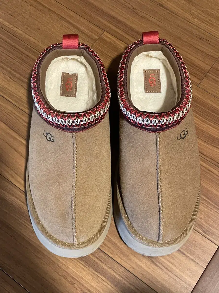 어그 타즈 ugg 240 플랫폼