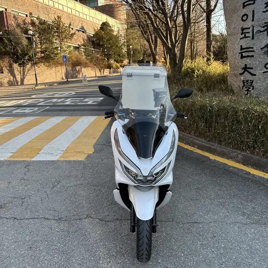 19년식 pcx125 오토바이 판매해요