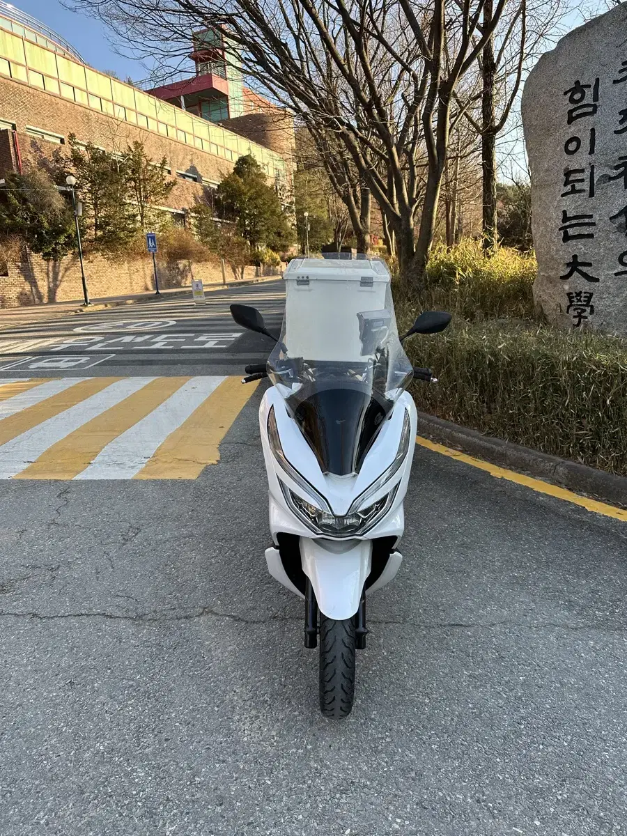 19년식 pcx125 오토바이 판매해요