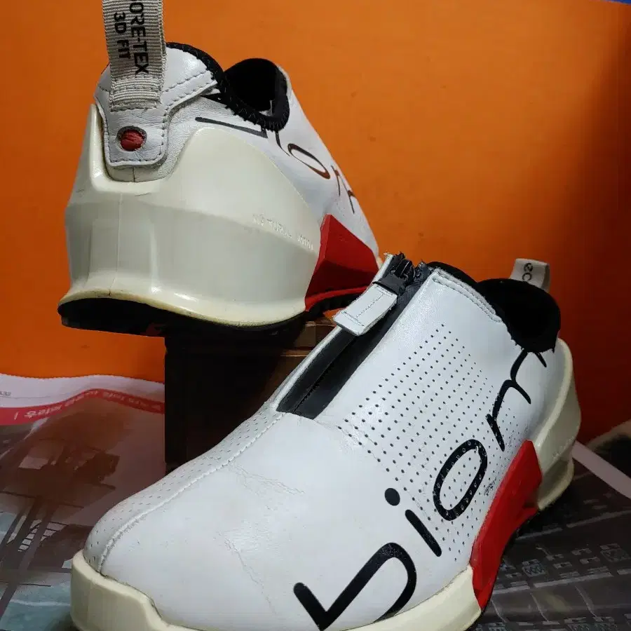 에코 BIOM2.0 GTX 3D Fit(EU39표기250추천사이즈255)