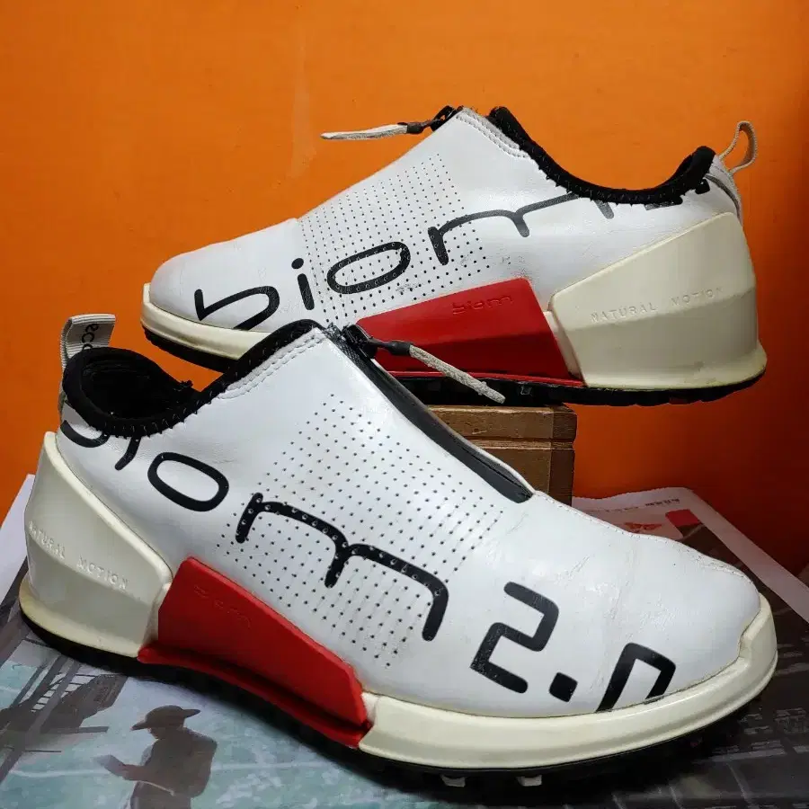 에코 BIOM2.0 GTX 3D Fit(EU39표기250추천사이즈255)