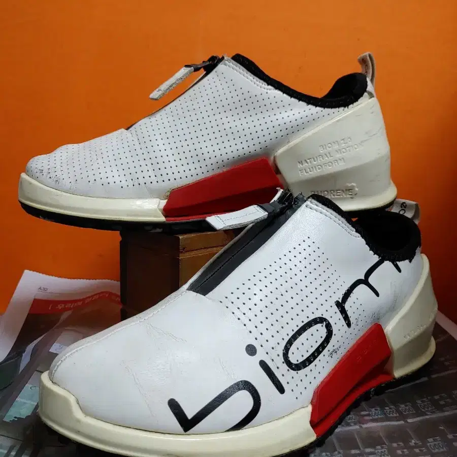 에코 BIOM2.0 GTX 3D Fit(EU39표기250추천사이즈255)