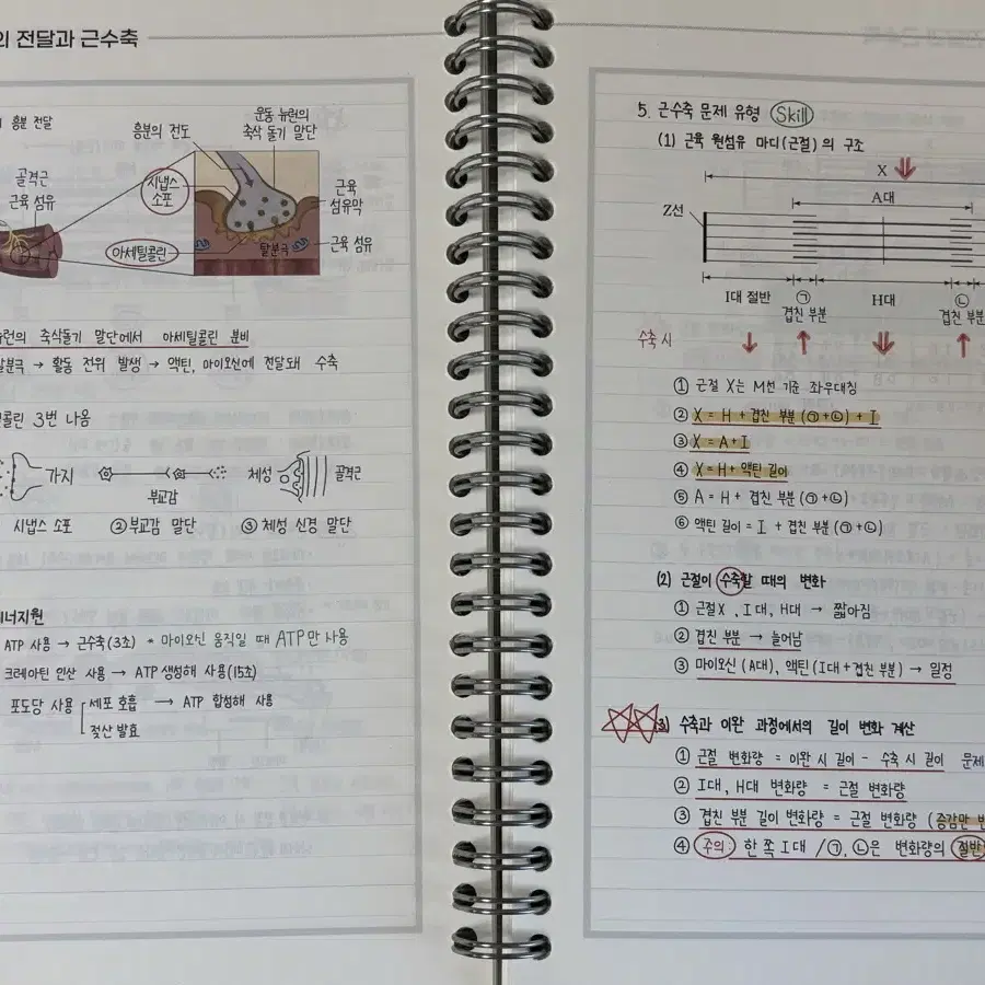 백호 개념완성 서브노트 , 오지훈 필기노트