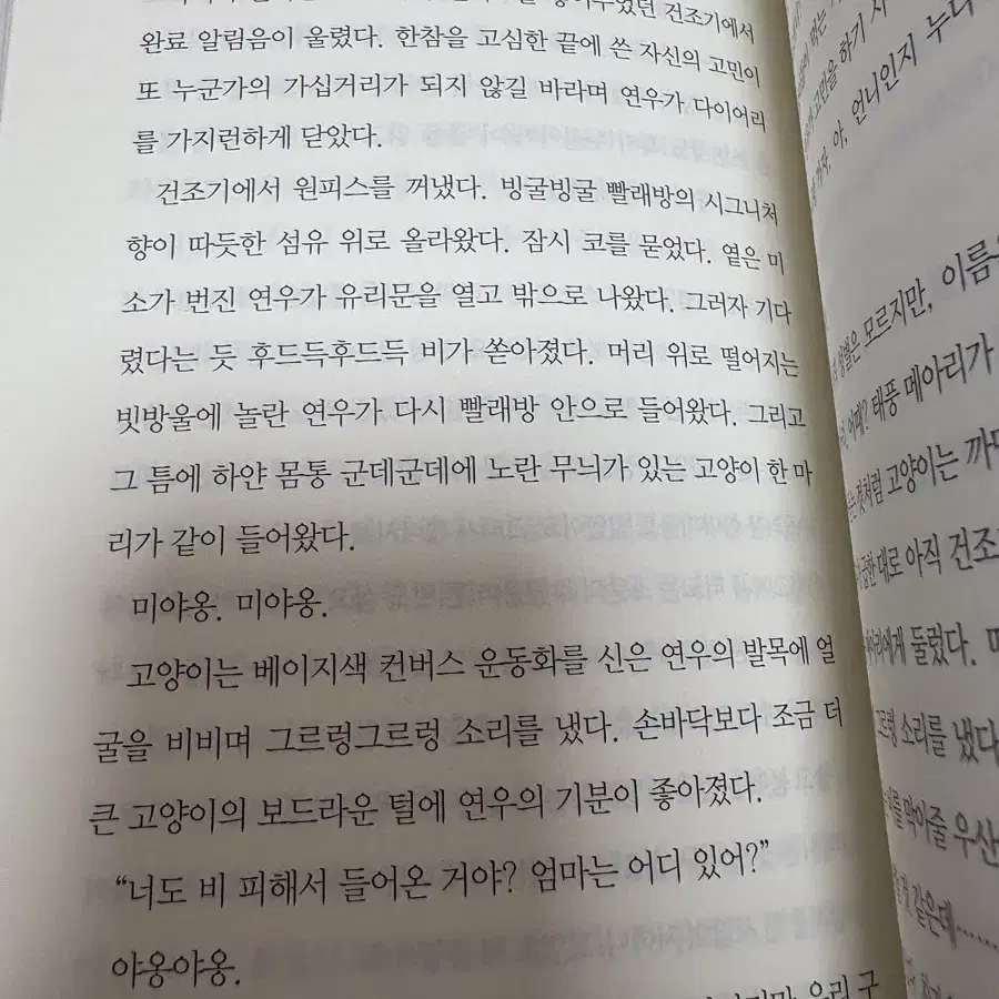 연남동 빙굴빙굴 빨래방 소설책