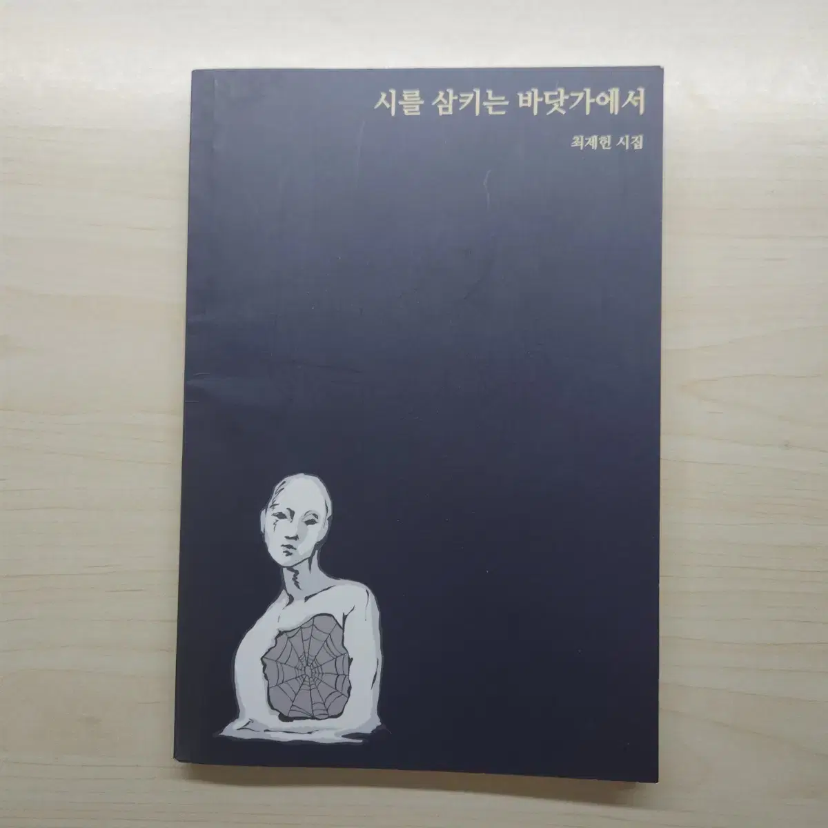 시를 삼키는 바닷가에서 최제헌 시집