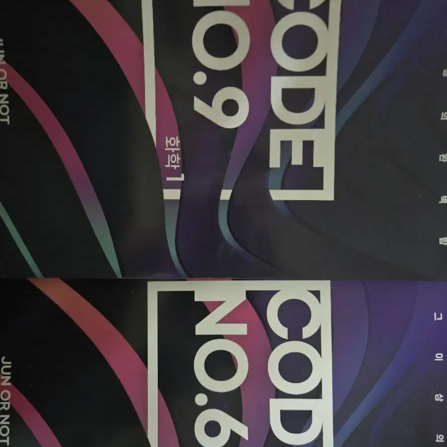 대성 김준 2025  새것 코드나인 코드식스 code No.9 No.6