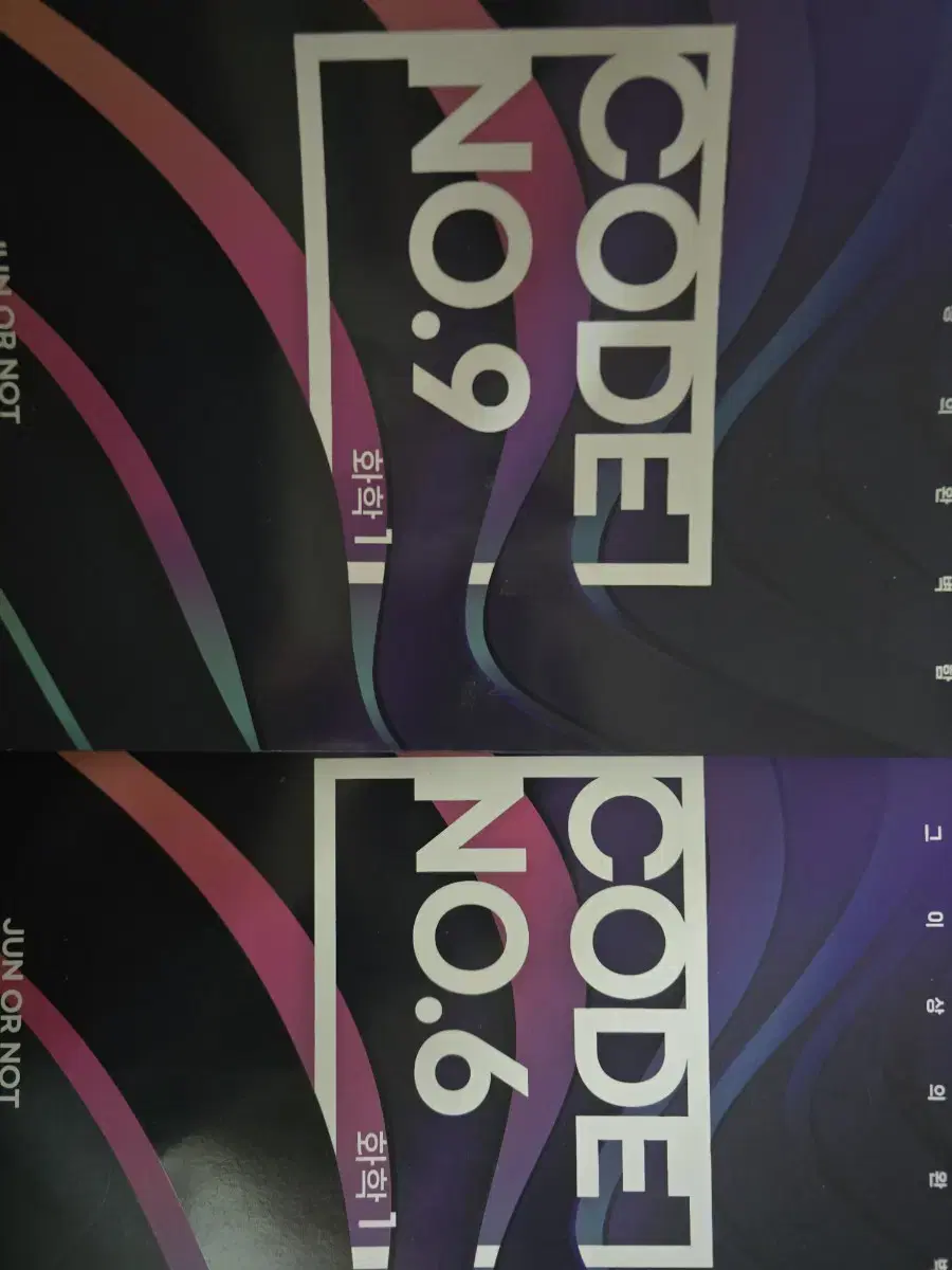 대성 김준 2025  새것 코드나인 코드식스 code No.9 No.6