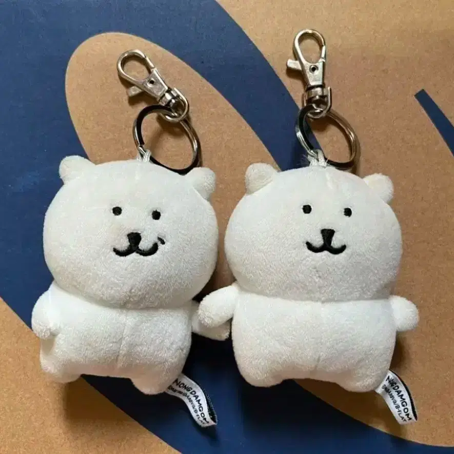 완료) 돈앤돌스 비플랏 기본 우쭐 농담곰 8cm 인형 키링