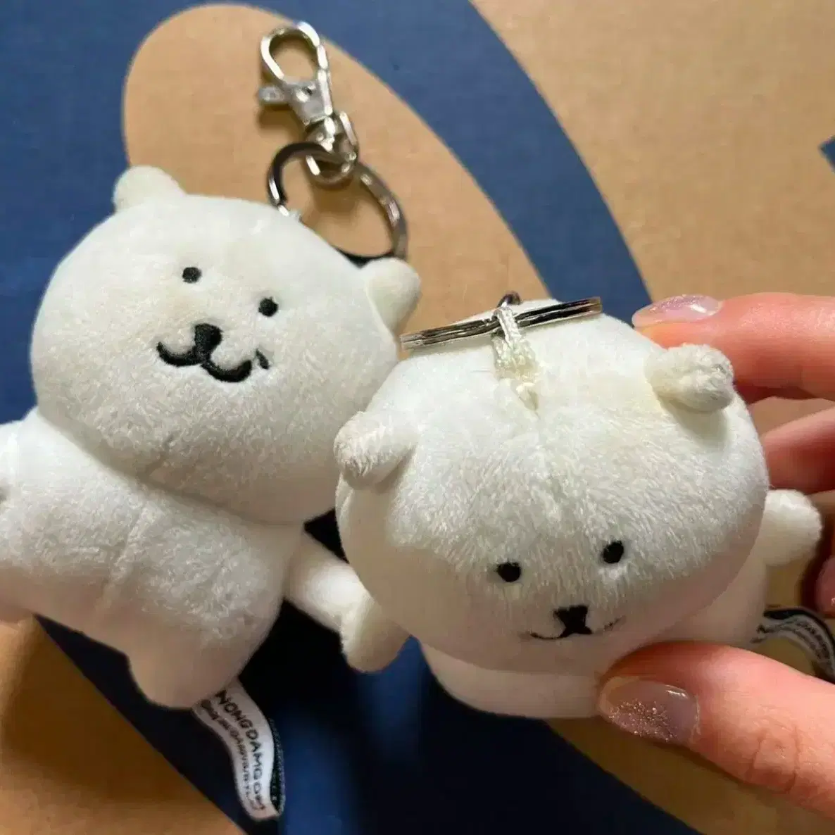 완료) 돈앤돌스 비플랏 기본 우쭐 농담곰 8cm 인형 키링