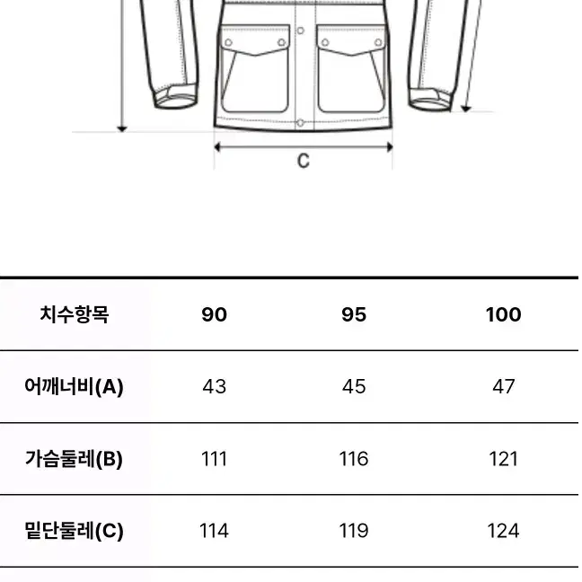 여성 레스터G RDS 구스다운 숏패딩