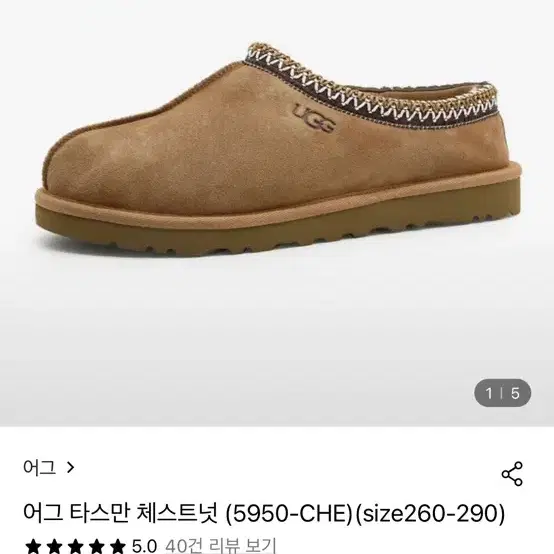 어그 타스만 260