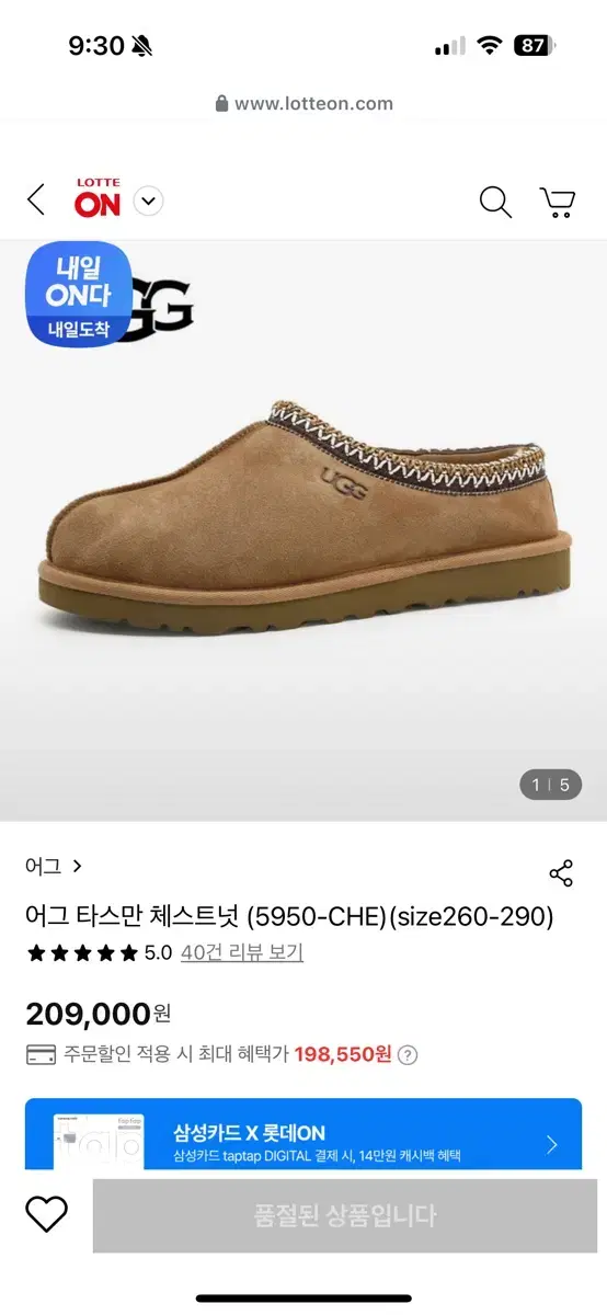 어그 타스만 260