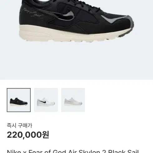 나이키 x 피어오브갓 에어 스카이론 블랙 270