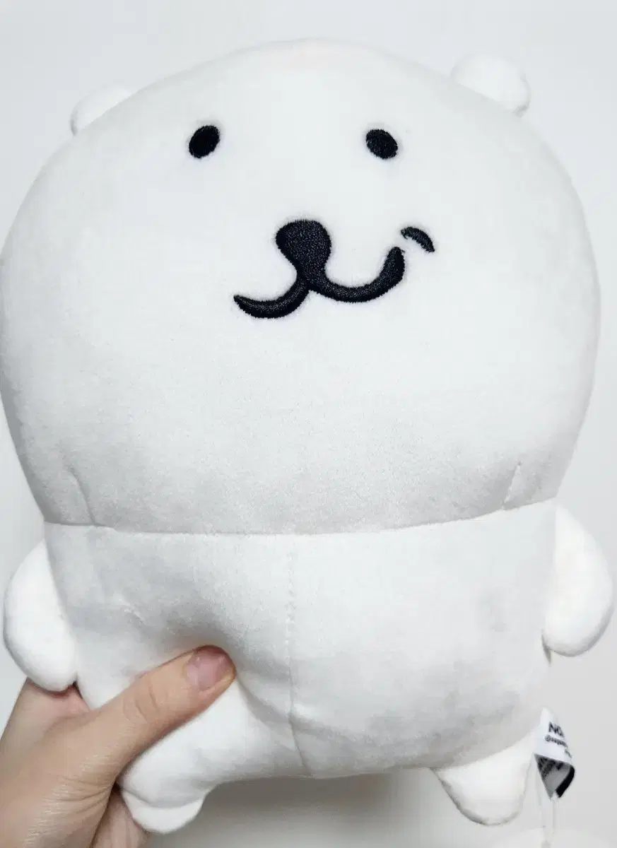 비플랏 우쭐곰 기본곰 인형