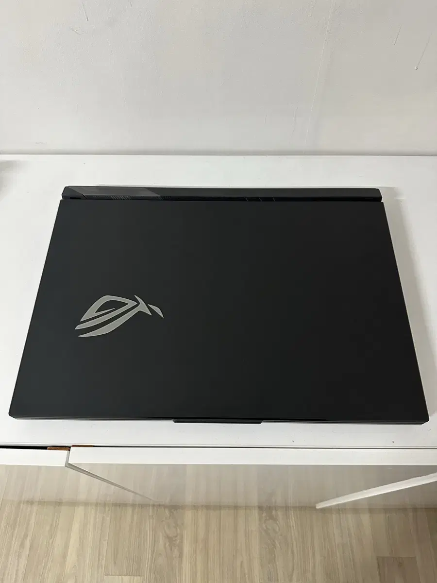 게이밍 노트북 rog scar18 G834JY-N6005W 4090