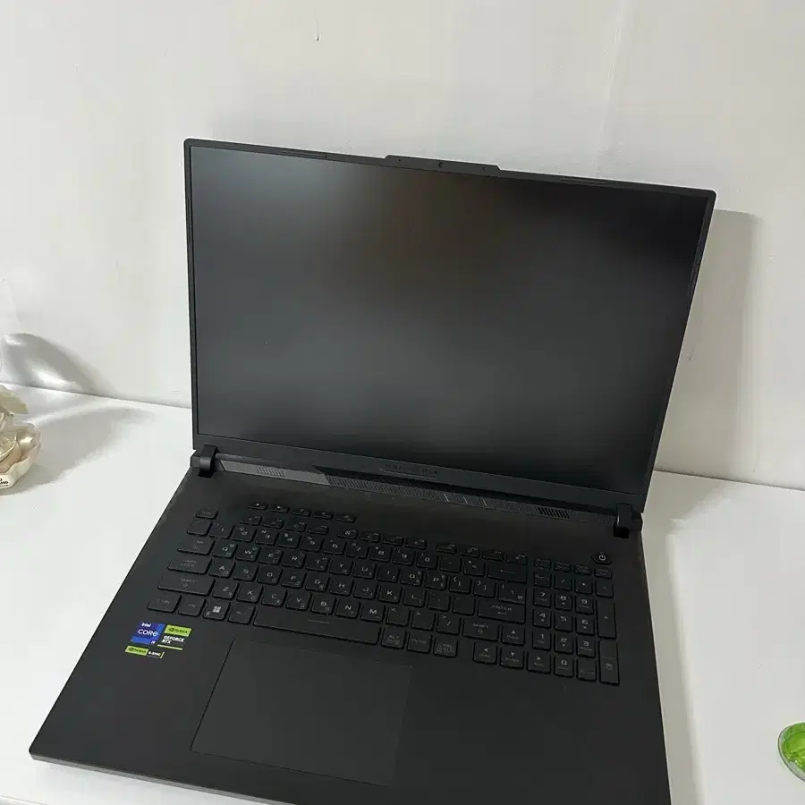 게이밍 노트북 rog scar18 G834JY-N6005W 4090