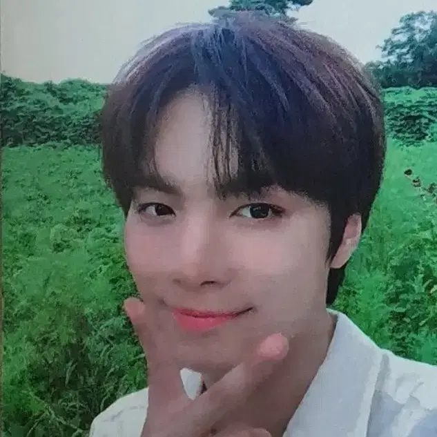 뉴이스트 김종현 숲속종현 양도받아요