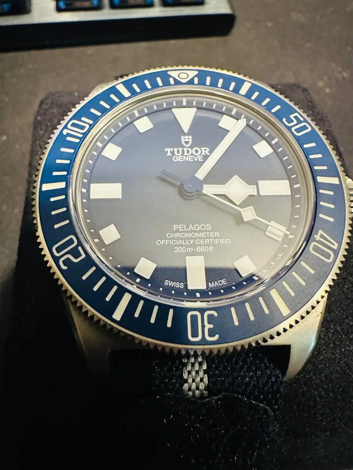 Tudor Pelagos FXD