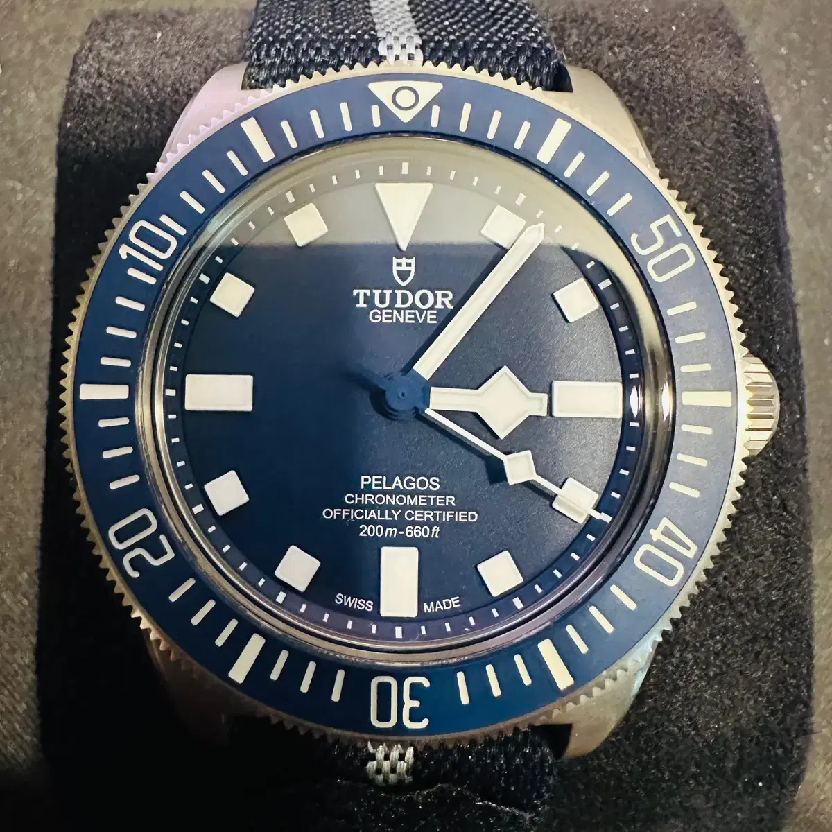 Tudor Pelagos FXD