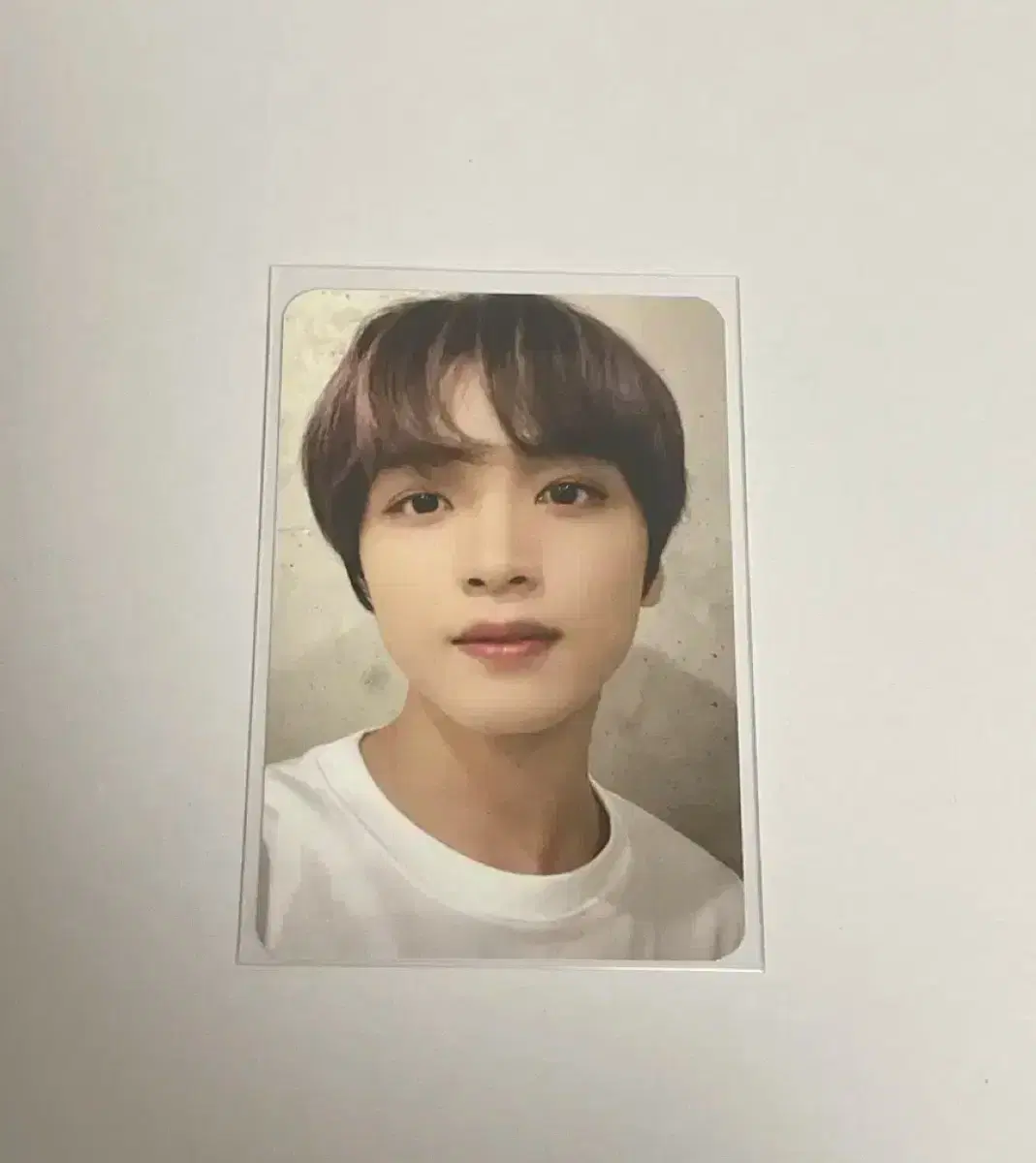 NCT Sanrio Glass Cup haechan Photocard