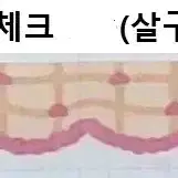 라라하우스 몽진아트 제리 마테띵 마테컷 키스컷띵