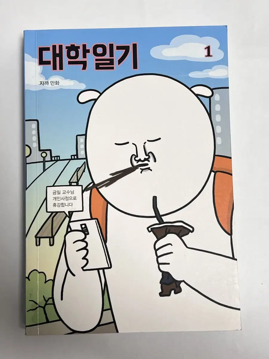 대학일기1 책