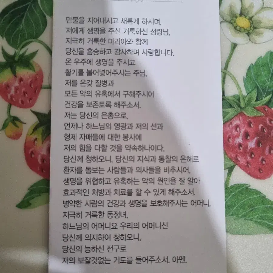 일괄)천주교 크리스천 도서