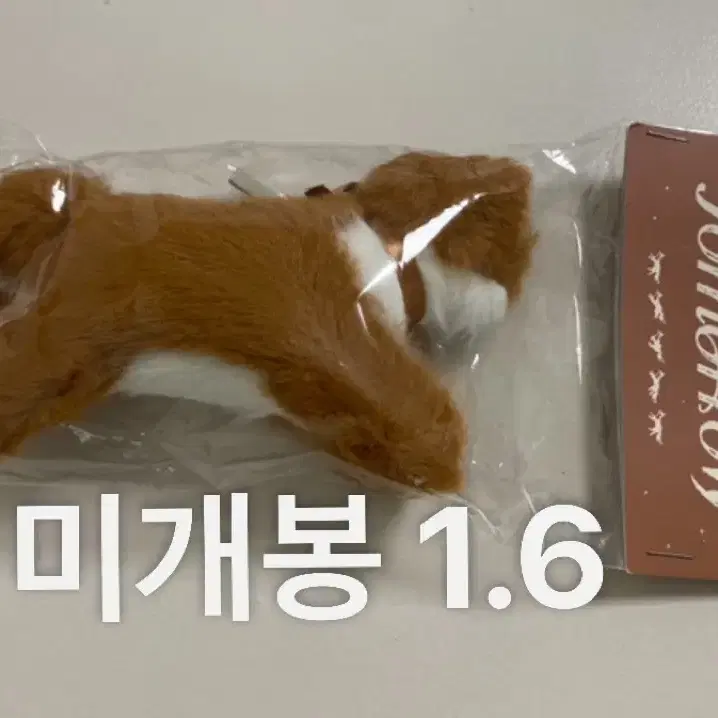 투바투 인형 양도해요