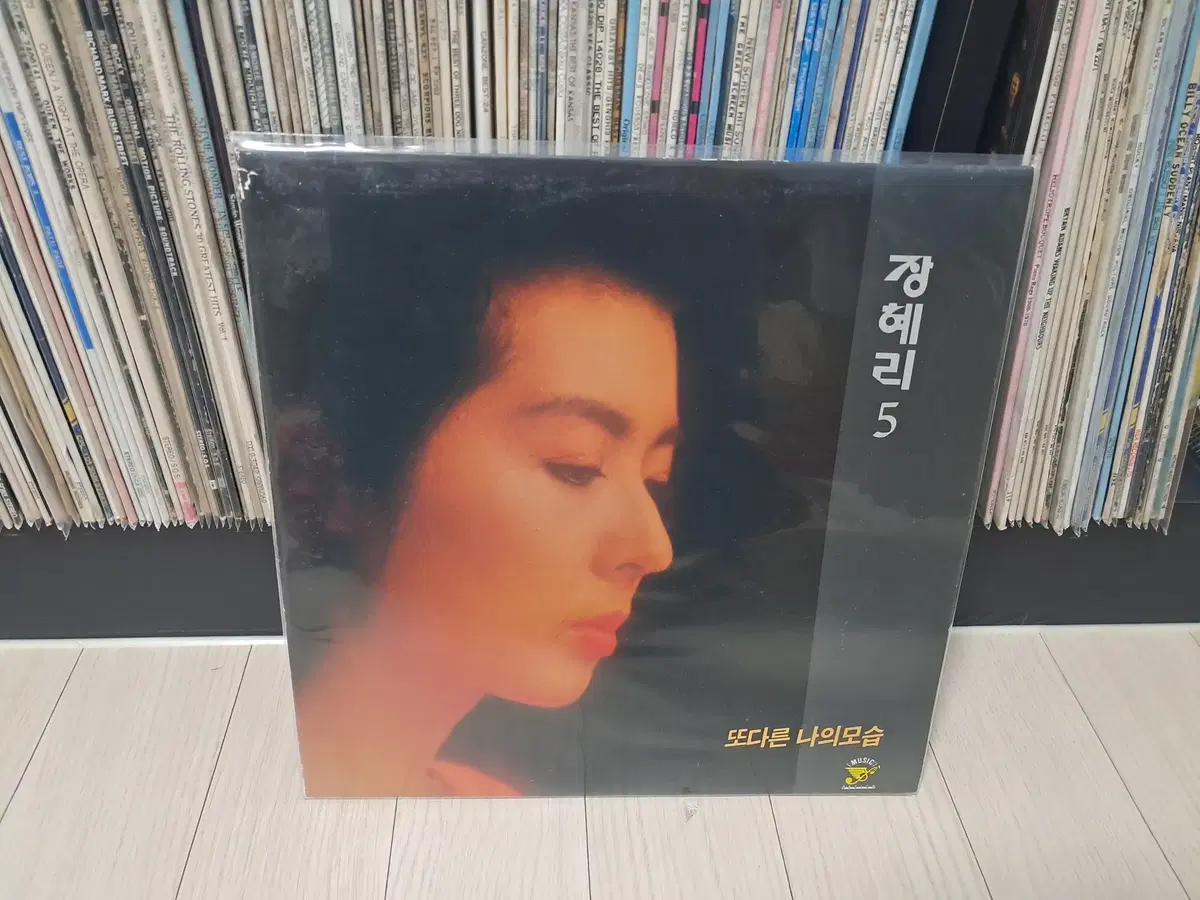 LP..장혜리5집(1991년)또다른나의모습