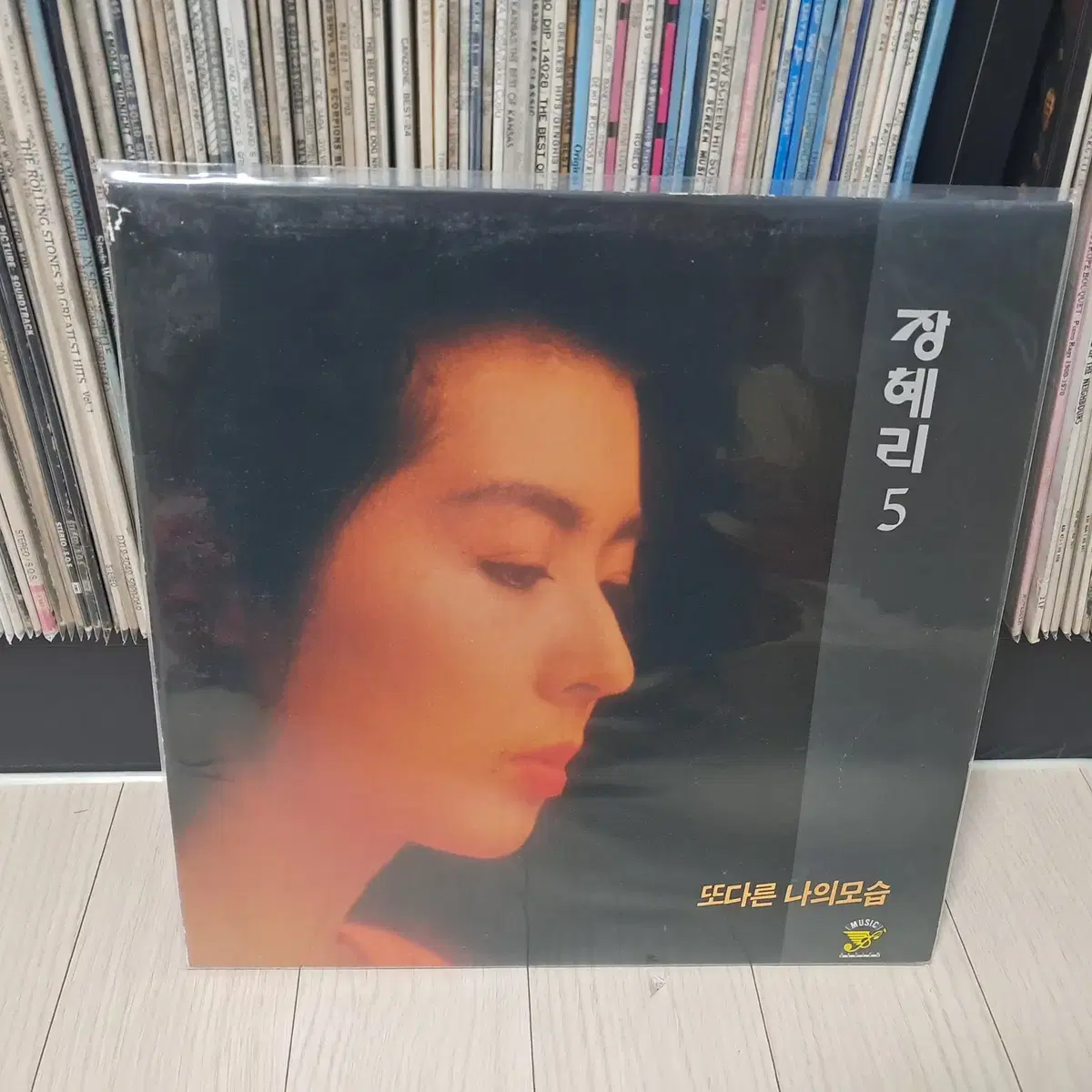 LP..장혜리5집(1991년)또다른나의모습