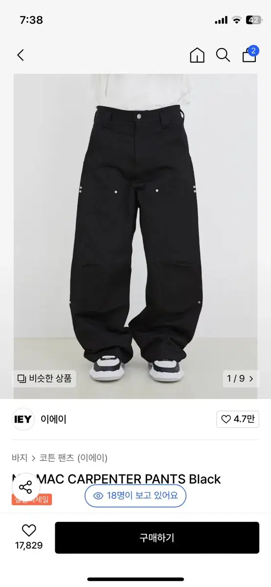 이에이 누맥 카펜터 팬츠