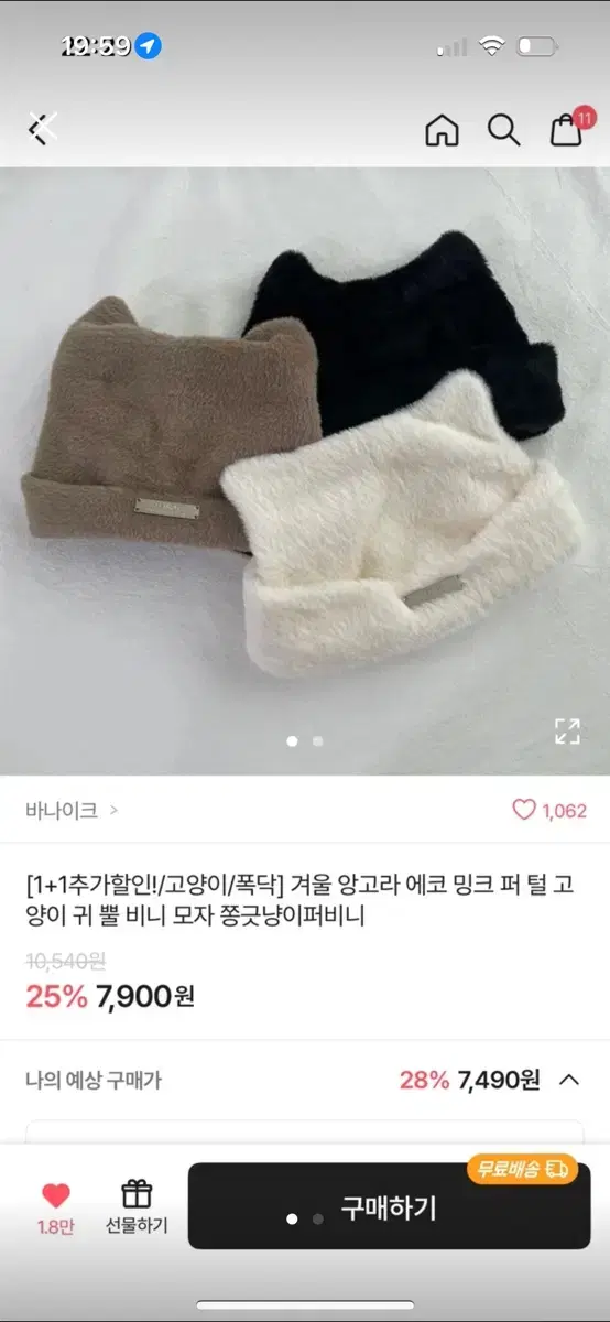 고양이 비니