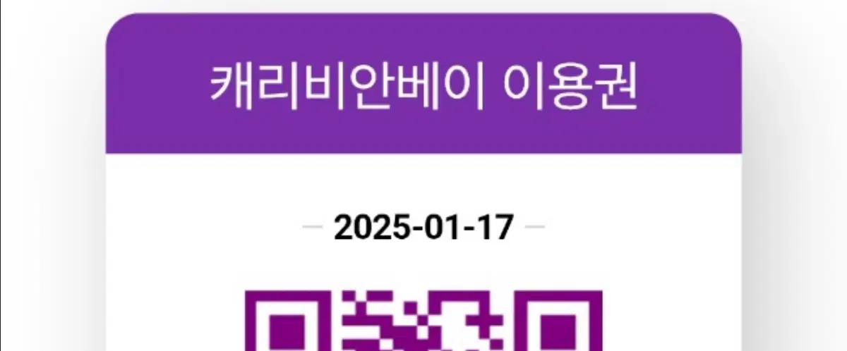 내일 1월 17일 (금) 캐리비안베이 이용권 2인 (일괄)