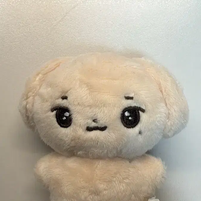 안효섭 인형 (폴뭉이)