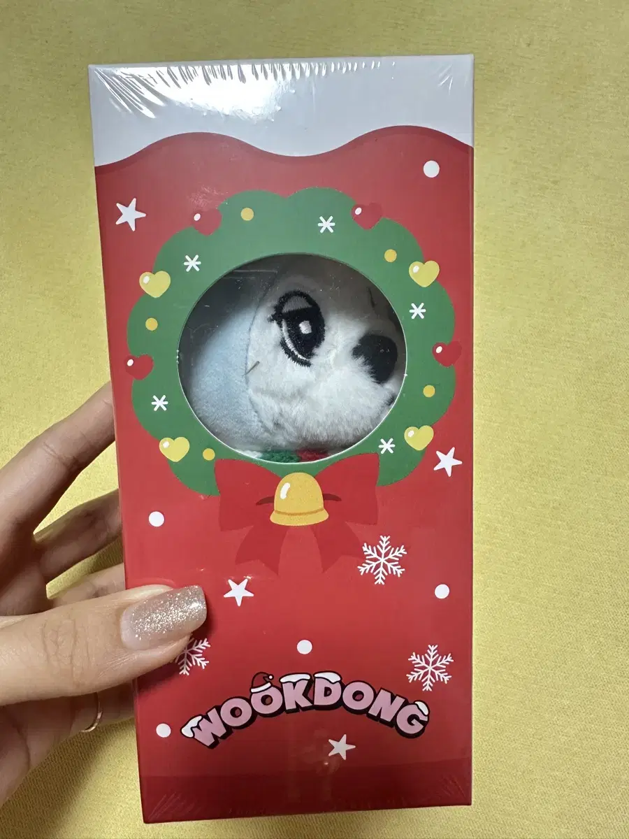 Lee Dongwook's Christmas Sewing Doll keyring photocard Woong-dong's Photocard
