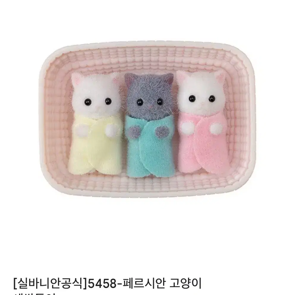 미개봉)새상품) 실바니안 아기 페르시안 고양이 세쌍둥이