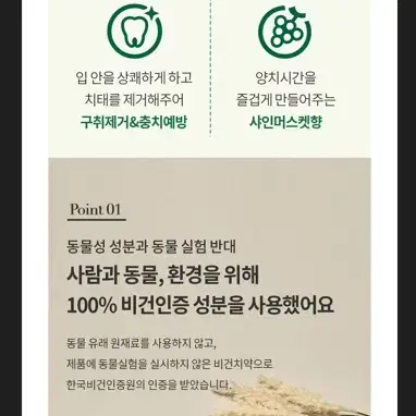 택포1천 샤인머스켓 향 70g 무불소 치약