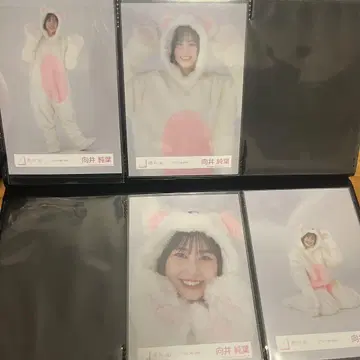 사쿠라자카46 무카이 이토하 브로마이드 사진 동물 인형옷 컴프