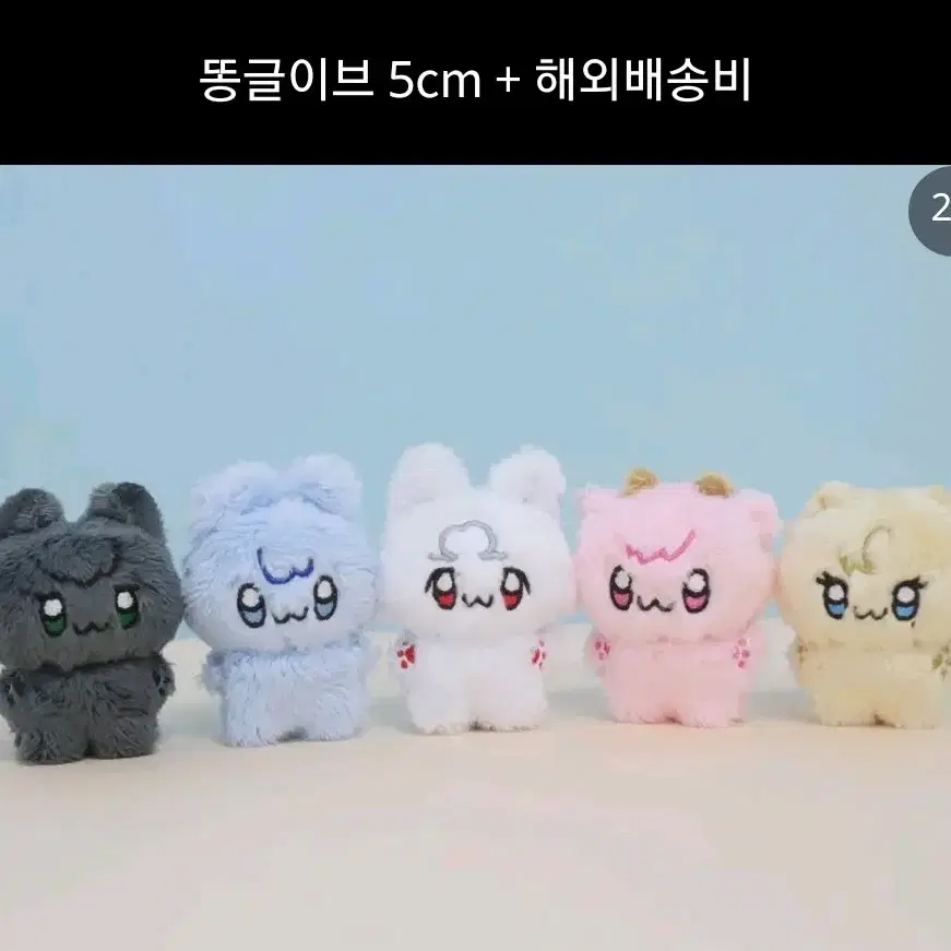 플레이브 똥글이브 5cm 양도합니다