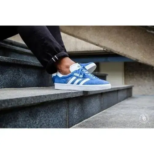 235 ) ADIDAS (아디다스) 여성 가젤 운동화