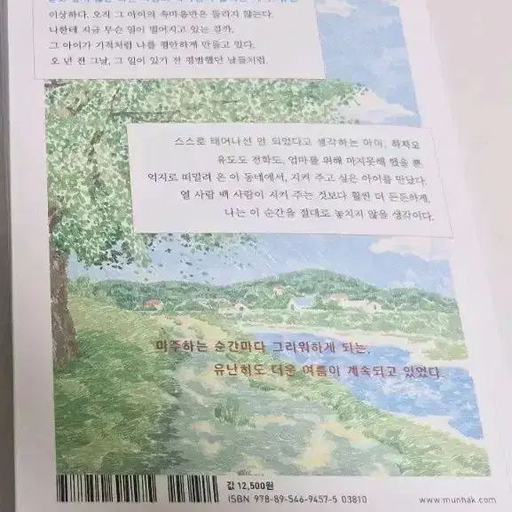 여름을 한입 배워물었더니,바다가 들리는 편의점 책 싸게 판매