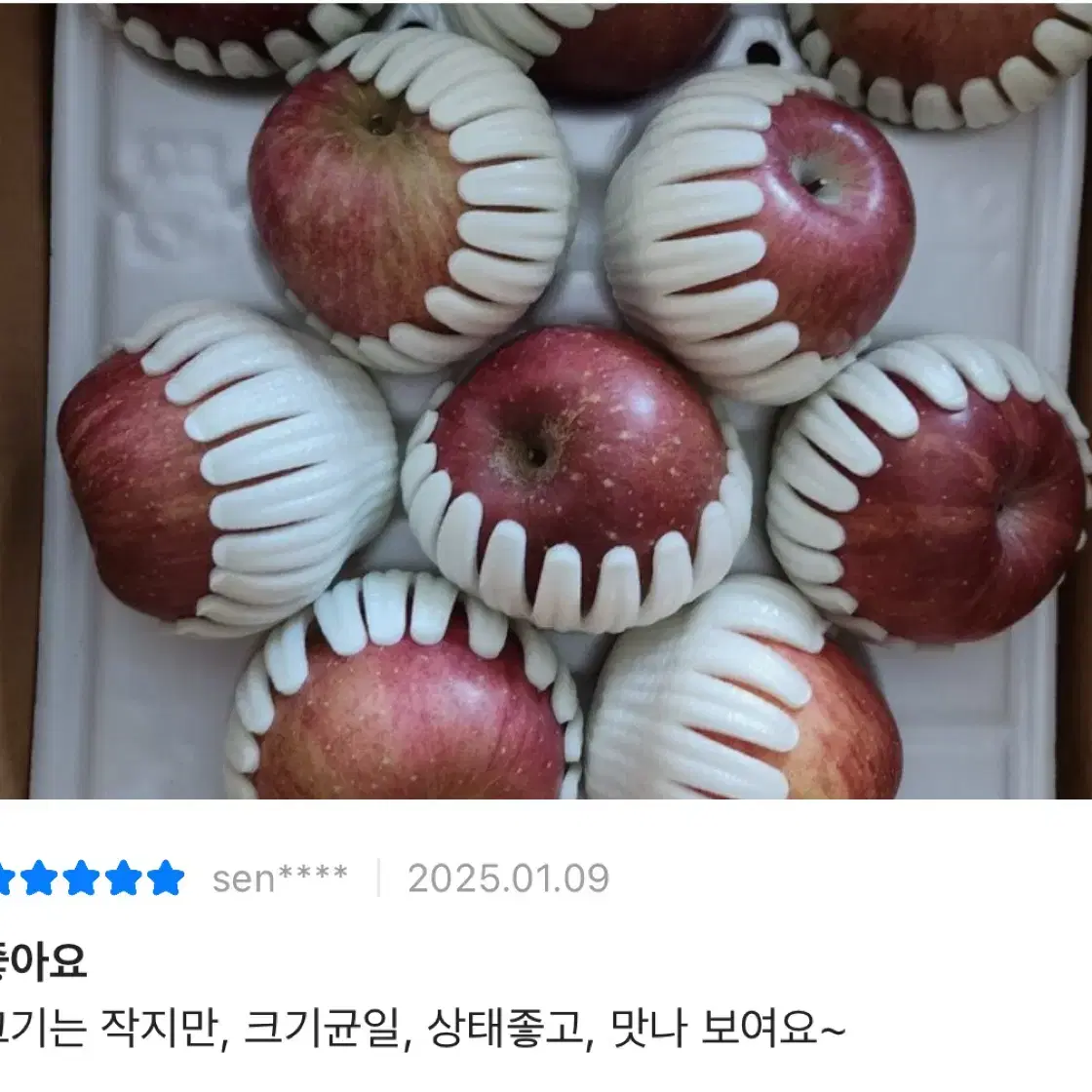 청송 사과 부사 3kg 11-14과 무료배송 캡포장