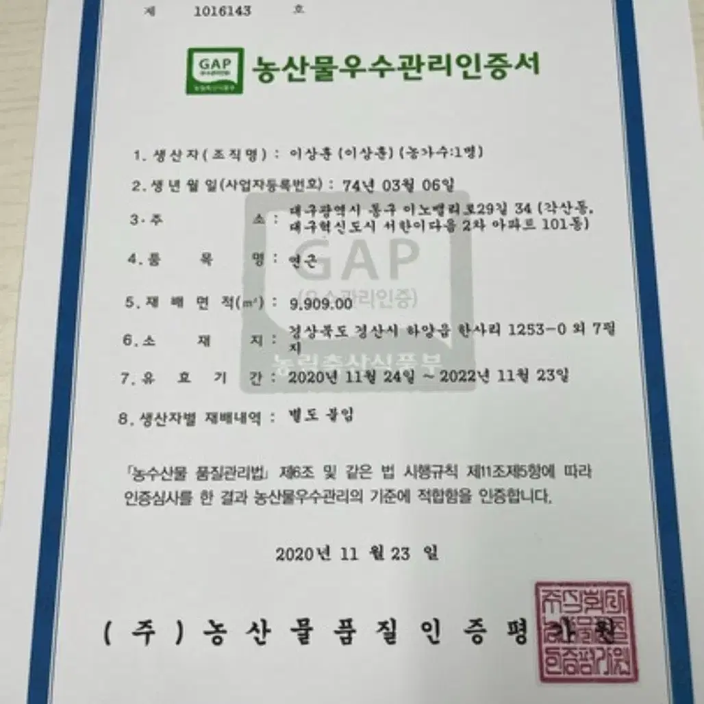 햇 연근 진흙 흙연근 찰연근 정품 2kg