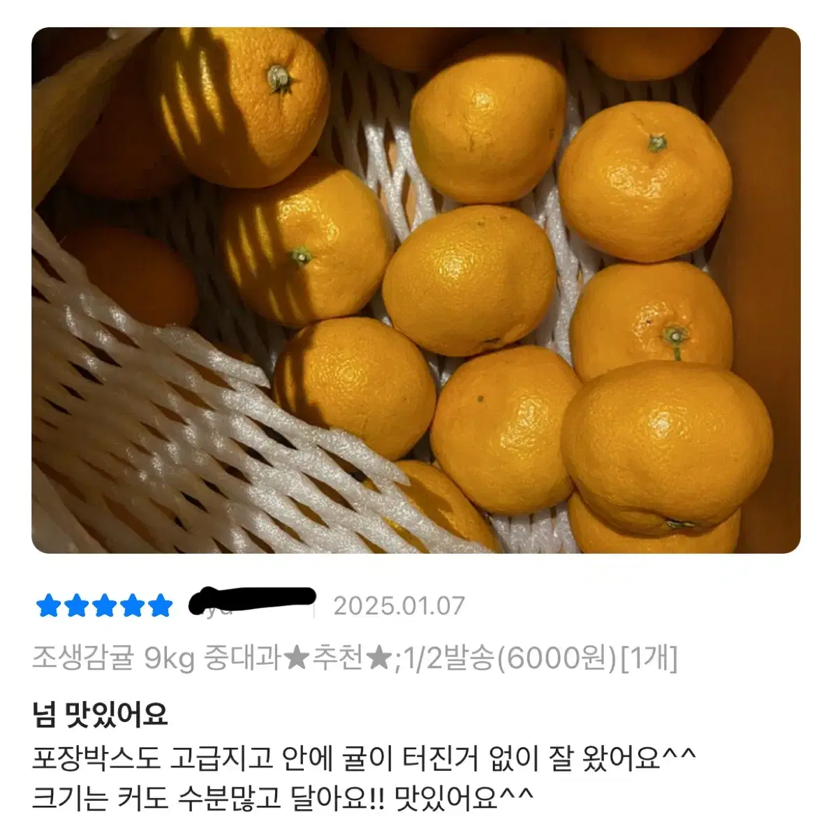 조생감귤 4.5kg 중대과