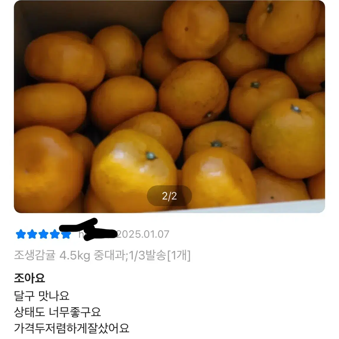 조생감귤 4.5kg 중대과