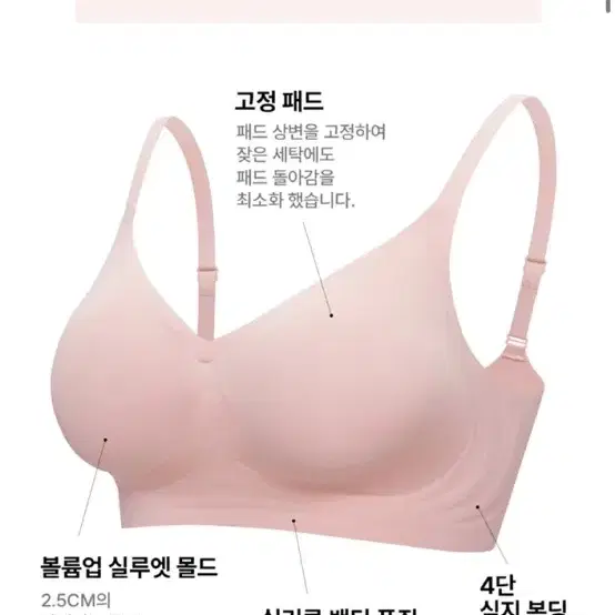 에블린 실루엣 브라 급처