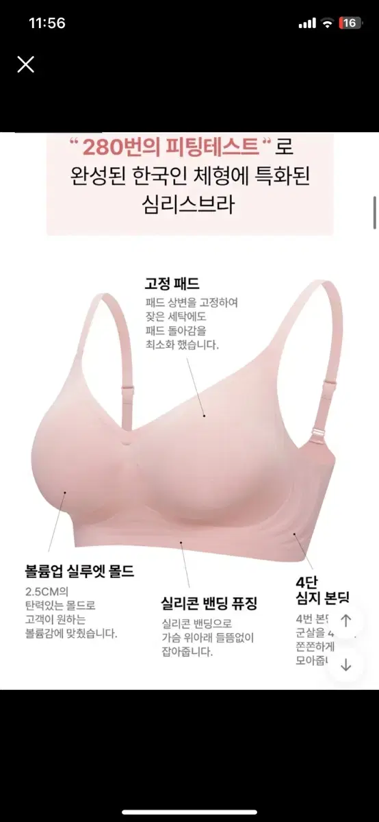 에블린 실루엣 브라 급처