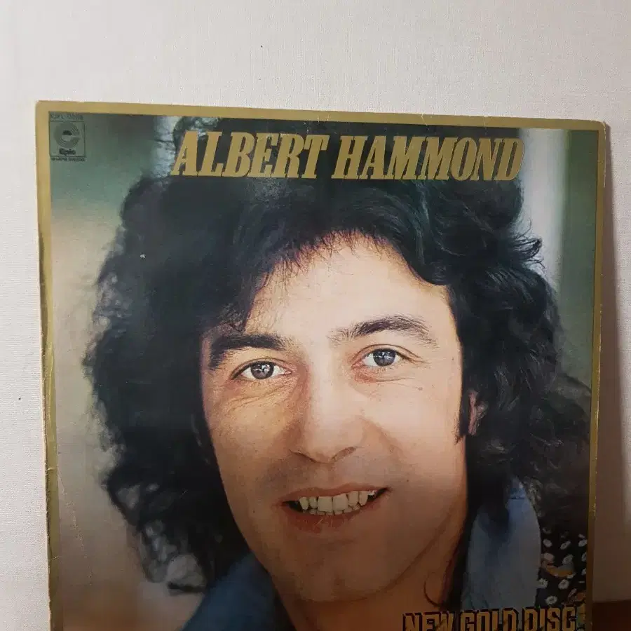 Albert Hammond 올드팝엘피 바이닐vinyl Oldpoplp