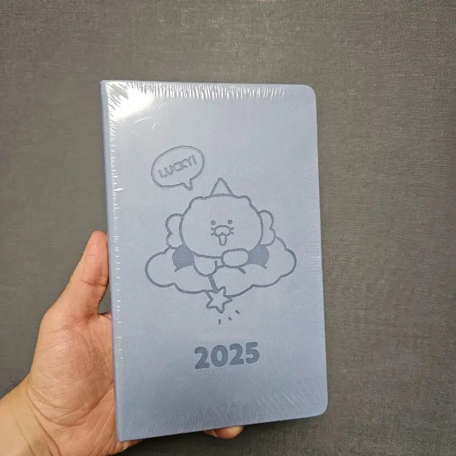 카카오프렌즈 2025 춘식이 다이어리 단품